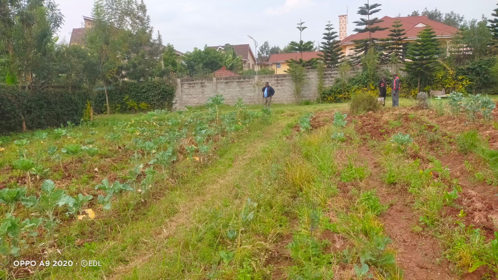 Prime Half-Acre Land for Sale in Karen Plains – KSh 40M Are you looking for an incredible investment opportunity in one of Nairobi’s most prestigious neighborhoods? This prime ½-acre plot located in Karen Plains is the perfect choice. Priced at KSh 40M, the land is a ready-to-develop property featuring red soil, a secure perimeter wall, and access to water and electricity on-site. 📍 Location: Karen Plains 💰 Price: KSh 40M 📞 Contact: 0732675057 or Click Here Why Invest in Karen Plains? Premium Location: Karen is known for its tranquil, spacious setting, offering a serene environment while being just minutes away from Nairobi’s best schools, shopping centers, and recreational spots. Red Soil Advantage: Highly fertile and perfect for construction, red soil ensures strong foundations for building, whether for a luxurious home or other developments. Fully Serviced: This plot is equipped with ready water and electricity, saving you time and cost on utility setup. Security: The plot is surrounded by a perimeter wall, ensuring added safety and privacy. Benefits of Buying Land in Karen Plains: High Return on Investment: Karen remains one of the most sought-after residential areas, making this land a valuable investment with potential for significant appreciation. Exclusive Community: The area offers an upscale, gated community feel with premium infrastructure and access to high-end amenities. Diaspora-Friendly Investment: With its stability and prime location, Karen is a top choice for buyers abroad looking to invest in Kenyan real estate. Perfect for Development: Whether you're planning to build your dream home, a rental property, or an investment project, this land is ideal for long-term gains. Ready to Invest? Secure this prime land in Karen Plains today! 📞 Call/WhatsApp: 0732675057 or Click Here for more details. #KarenLandForSale #RealEstateKenya #KarenPlainsProperty #LandInvestmentKenya #DiasporaInvestorsKenya #LuxuryLivingKenya #RedSoilLand #NairobiRealEstate #LandForSaleKaren #KenyaProperty #InvestmentOpportunityKenya