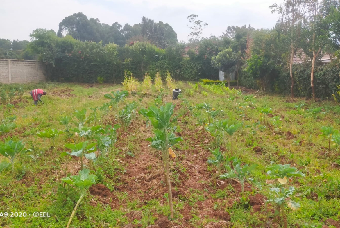 Prime Half-Acre Land for Sale in Karen Plains – KSh 40M Are you looking for an incredible investment opportunity in one of Nairobi’s most prestigious neighborhoods? This prime ½-acre plot located in Karen Plains is the perfect choice. Priced at KSh 40M, the land is a ready-to-develop property featuring red soil, a secure perimeter wall, and access to water and electricity on-site. 📍 Location: Karen Plains 💰 Price: KSh 40M 📞 Contact: 0732675057 or Click Here Why Invest in Karen Plains? Premium Location: Karen is known for its tranquil, spacious setting, offering a serene environment while being just minutes away from Nairobi’s best schools, shopping centers, and recreational spots. Red Soil Advantage: Highly fertile and perfect for construction, red soil ensures strong foundations for building, whether for a luxurious home or other developments. Fully Serviced: This plot is equipped with ready water and electricity, saving you time and cost on utility setup. Security: The plot is surrounded by a perimeter wall, ensuring added safety and privacy. Benefits of Buying Land in Karen Plains: High Return on Investment: Karen remains one of the most sought-after residential areas, making this land a valuable investment with potential for significant appreciation. Exclusive Community: The area offers an upscale, gated community feel with premium infrastructure and access to high-end amenities. Diaspora-Friendly Investment: With its stability and prime location, Karen is a top choice for buyers abroad looking to invest in Kenyan real estate. Perfect for Development: Whether you're planning to build your dream home, a rental property, or an investment project, this land is ideal for long-term gains. Ready to Invest? Secure this prime land in Karen Plains today! 📞 Call/WhatsApp: 0732675057 or Click Here for more details. #KarenLandForSale #RealEstateKenya #KarenPlainsProperty #LandInvestmentKenya #DiasporaInvestorsKenya #LuxuryLivingKenya #RedSoilLand #NairobiRealEstate #LandForSaleKaren #KenyaProperty #InvestmentOpportunityKenya