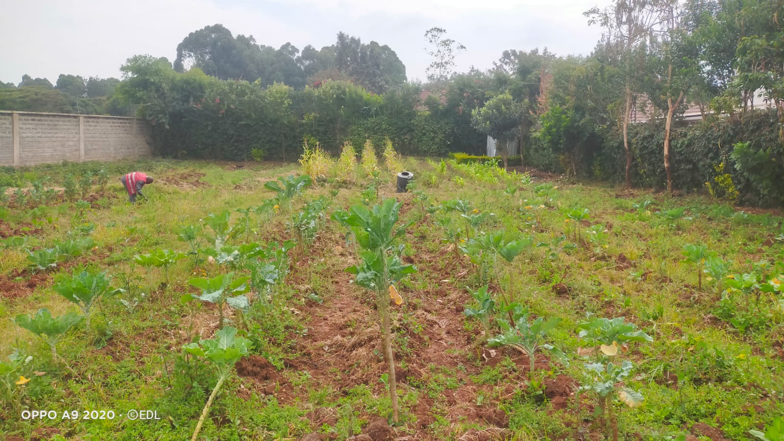 Prime Half-Acre Land for Sale in Karen Plains – KSh 40M Are you looking for an incredible investment opportunity in one of Nairobi’s most prestigious neighborhoods? This prime ½-acre plot located in Karen Plains is the perfect choice. Priced at KSh 40M, the land is a ready-to-develop property featuring red soil, a secure perimeter wall, and access to water and electricity on-site. 📍 Location: Karen Plains 💰 Price: KSh 40M 📞 Contact: 0732675057 or Click Here Why Invest in Karen Plains? Premium Location: Karen is known for its tranquil, spacious setting, offering a serene environment while being just minutes away from Nairobi’s best schools, shopping centers, and recreational spots. Red Soil Advantage: Highly fertile and perfect for construction, red soil ensures strong foundations for building, whether for a luxurious home or other developments. Fully Serviced: This plot is equipped with ready water and electricity, saving you time and cost on utility setup. Security: The plot is surrounded by a perimeter wall, ensuring added safety and privacy. Benefits of Buying Land in Karen Plains: High Return on Investment: Karen remains one of the most sought-after residential areas, making this land a valuable investment with potential for significant appreciation. Exclusive Community: The area offers an upscale, gated community feel with premium infrastructure and access to high-end amenities. Diaspora-Friendly Investment: With its stability and prime location, Karen is a top choice for buyers abroad looking to invest in Kenyan real estate. Perfect for Development: Whether you're planning to build your dream home, a rental property, or an investment project, this land is ideal for long-term gains. Ready to Invest? Secure this prime land in Karen Plains today! 📞 Call/WhatsApp: 0732675057 or Click Here for more details. #KarenLandForSale #RealEstateKenya #KarenPlainsProperty #LandInvestmentKenya #DiasporaInvestorsKenya #LuxuryLivingKenya #RedSoilLand #NairobiRealEstate #LandForSaleKaren #KenyaProperty #InvestmentOpportunityKenya