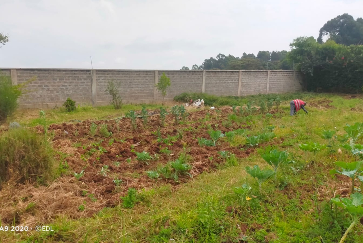 Prime Half-Acre Land for Sale in Karen Plains – KSh 40M Are you looking for an incredible investment opportunity in one of Nairobi’s most prestigious neighborhoods? This prime ½-acre plot located in Karen Plains is the perfect choice. Priced at KSh 40M, the land is a ready-to-develop property featuring red soil, a secure perimeter wall, and access to water and electricity on-site. 📍 Location: Karen Plains 💰 Price: KSh 40M 📞 Contact: 0732675057 or Click Here Why Invest in Karen Plains? Premium Location: Karen is known for its tranquil, spacious setting, offering a serene environment while being just minutes away from Nairobi’s best schools, shopping centers, and recreational spots. Red Soil Advantage: Highly fertile and perfect for construction, red soil ensures strong foundations for building, whether for a luxurious home or other developments. Fully Serviced: This plot is equipped with ready water and electricity, saving you time and cost on utility setup. Security: The plot is surrounded by a perimeter wall, ensuring added safety and privacy. Benefits of Buying Land in Karen Plains: High Return on Investment: Karen remains one of the most sought-after residential areas, making this land a valuable investment with potential for significant appreciation. Exclusive Community: The area offers an upscale, gated community feel with premium infrastructure and access to high-end amenities. Diaspora-Friendly Investment: With its stability and prime location, Karen is a top choice for buyers abroad looking to invest in Kenyan real estate. Perfect for Development: Whether you're planning to build your dream home, a rental property, or an investment project, this land is ideal for long-term gains. Ready to Invest? Secure this prime land in Karen Plains today! 📞 Call/WhatsApp: 0732675057 or Click Here for more details. #KarenLandForSale #RealEstateKenya #KarenPlainsProperty #LandInvestmentKenya #DiasporaInvestorsKenya #LuxuryLivingKenya #RedSoilLand #NairobiRealEstate #LandForSaleKaren #KenyaProperty #InvestmentOpportunityKenya