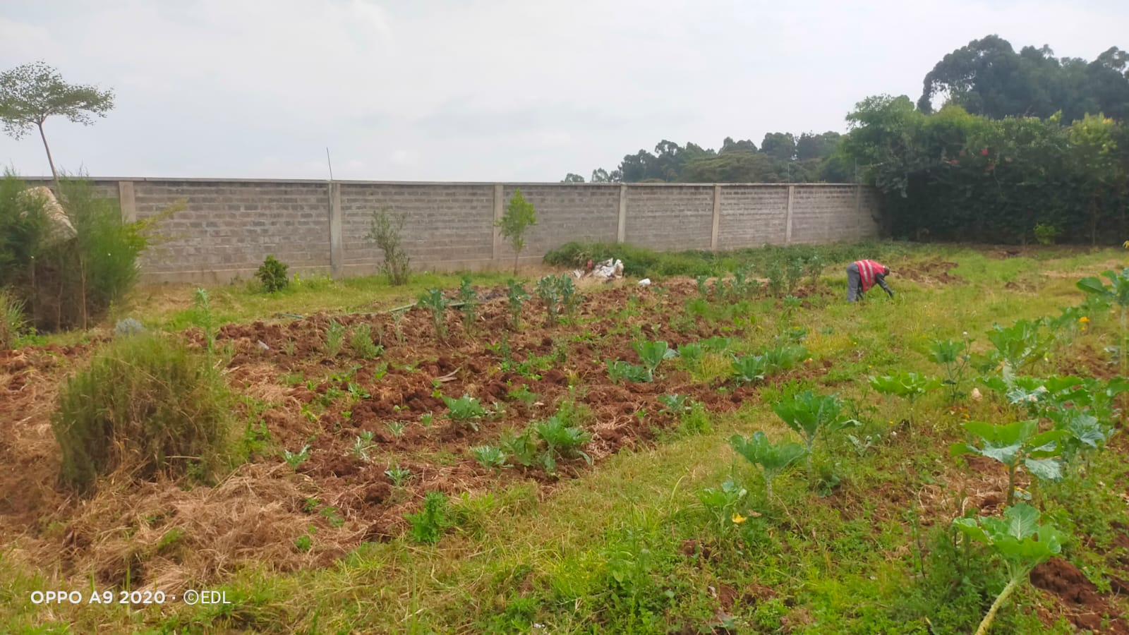 Prime Half-Acre Land for Sale in Karen Plains – KSh 40M Are you looking for an incredible investment opportunity in one of Nairobi’s most prestigious neighborhoods? This prime ½-acre plot located in Karen Plains is the perfect choice. Priced at KSh 40M, the land is a ready-to-develop property featuring red soil, a secure perimeter wall, and access to water and electricity on-site. 📍 Location: Karen Plains 💰 Price: KSh 40M 📞 Contact: 0732675057 or Click Here Why Invest in Karen Plains? Premium Location: Karen is known for its tranquil, spacious setting, offering a serene environment while being just minutes away from Nairobi’s best schools, shopping centers, and recreational spots. Red Soil Advantage: Highly fertile and perfect for construction, red soil ensures strong foundations for building, whether for a luxurious home or other developments. Fully Serviced: This plot is equipped with ready water and electricity, saving you time and cost on utility setup. Security: The plot is surrounded by a perimeter wall, ensuring added safety and privacy. Benefits of Buying Land in Karen Plains: High Return on Investment: Karen remains one of the most sought-after residential areas, making this land a valuable investment with potential for significant appreciation. Exclusive Community: The area offers an upscale, gated community feel with premium infrastructure and access to high-end amenities. Diaspora-Friendly Investment: With its stability and prime location, Karen is a top choice for buyers abroad looking to invest in Kenyan real estate. Perfect for Development: Whether you're planning to build your dream home, a rental property, or an investment project, this land is ideal for long-term gains. Ready to Invest? Secure this prime land in Karen Plains today! 📞 Call/WhatsApp: 0732675057 or Click Here for more details. #KarenLandForSale #RealEstateKenya #KarenPlainsProperty #LandInvestmentKenya #DiasporaInvestorsKenya #LuxuryLivingKenya #RedSoilLand #NairobiRealEstate #LandForSaleKaren #KenyaProperty #InvestmentOpportunityKenya