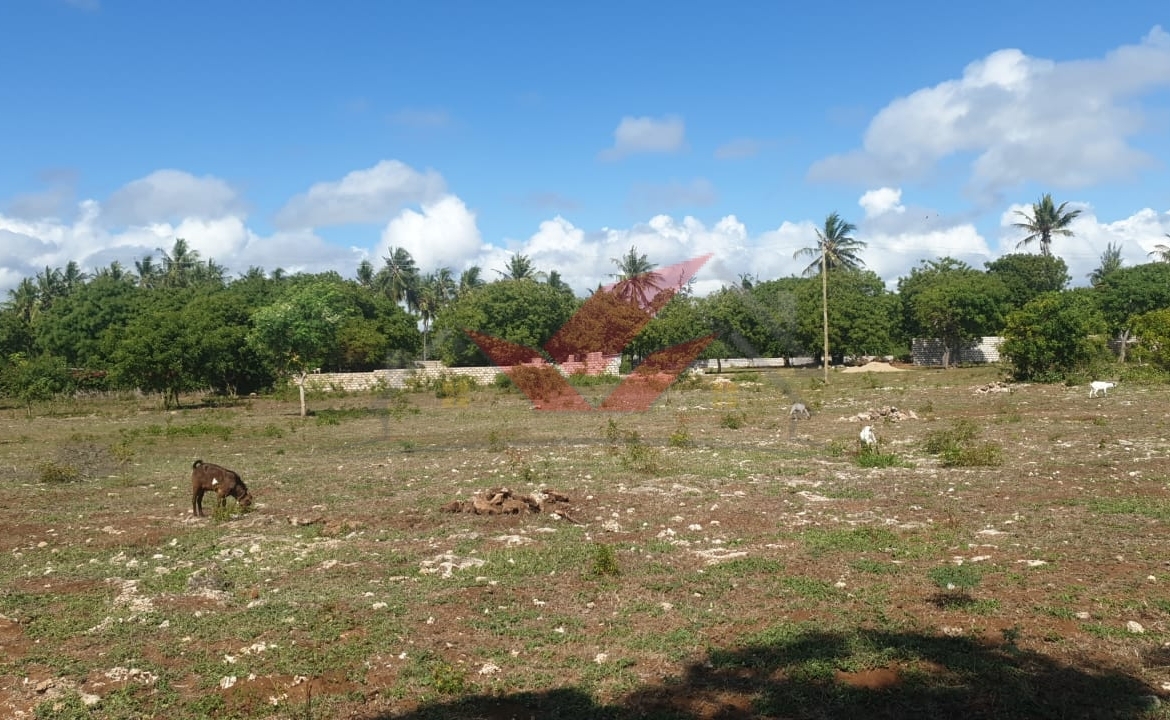 Prime 1-Acre Plot for Sale near Turtle Bay, Watamu Location: Near Turtle Bay, Watamu Price: KSh 9 Million Contact: Call or WhatsApp +(254) 732675057 or [Click Here to Chat on WhatsApp](https://wa.me/254732675057) This exceptional 1-acre plot offers a rare chance to own land in the highly sought-after area near Turtle Bay, Watamu. Close to stunning beaches and resorts, this plot is ideal for building a private residence, vacation villas, or a boutique hotel, making it a valuable investment in Watamu’s thriving real estate market. ### Key Features: - Size: Spacious 1-acre plot with ample room for development. - Location: Situated in a prime area near Turtle Bay, close to world-class beaches and marine reserves. - Investment Potential: Ideal for residential or commercial development, including luxury villas, holiday homes, or hospitality projects. - Accessibility: Easily accessible with utilities nearby, enhancing the property’s development potential. ### Why Invest Near Turtle Bay? Turtle Bay is one of Kenya's premier beach destinations, drawing both tourists and locals. Investing in this plot offers an excellent opportunity to tap into Watamu’s growing property market, making it ideal for both personal use and potential revenue generation. Inquire Today Don’t miss this chance to secure a prime piece of land in Watamu. Call or WhatsApp: +(254) 732675057 or [Click Here to Chat on WhatsApp](https://wa.me/254732675057) #WatamuLandForSale #TurtleBayWatamu #KenyaRealEstate #BeachfrontInvestment #LandInvestmentKenya #WatamuProperty #CoastalLandForSale #InvestInWatamu #PrimeLandKenya #KenyaPropertyMarket #RealEstateInvestment #VacationPropertyKenya #WatamuDevelopment #KenyaCoastalLiving #BuildInWatamu #HolidayHomeKenya #LuxuryLandKenya #EastAfricaRealEstate #PropertyForSaleKenya #WatamuInvestment #LandForDevelopment #CoastalInvestmentKenya #TurtleBayInvestment #KenyaBeachLand