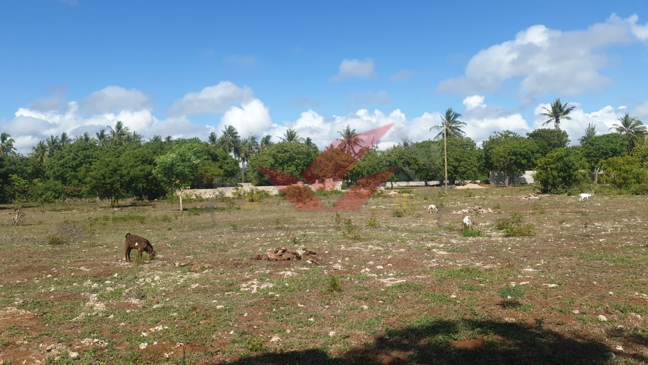 Prime 1-Acre Plot for Sale near Turtle Bay, Watamu Location: Near Turtle Bay, Watamu Price: KSh 9 Million Contact: Call or WhatsApp +(254) 732675057 or [Click Here to Chat on WhatsApp](https://wa.me/254732675057) This exceptional 1-acre plot offers a rare chance to own land in the highly sought-after area near Turtle Bay, Watamu. Close to stunning beaches and resorts, this plot is ideal for building a private residence, vacation villas, or a boutique hotel, making it a valuable investment in Watamu’s thriving real estate market. ### Key Features: - Size: Spacious 1-acre plot with ample room for development. - Location: Situated in a prime area near Turtle Bay, close to world-class beaches and marine reserves. - Investment Potential: Ideal for residential or commercial development, including luxury villas, holiday homes, or hospitality projects. - Accessibility: Easily accessible with utilities nearby, enhancing the property’s development potential. ### Why Invest Near Turtle Bay? Turtle Bay is one of Kenya's premier beach destinations, drawing both tourists and locals. Investing in this plot offers an excellent opportunity to tap into Watamu’s growing property market, making it ideal for both personal use and potential revenue generation. Inquire Today Don’t miss this chance to secure a prime piece of land in Watamu. Call or WhatsApp: +(254) 732675057 or [Click Here to Chat on WhatsApp](https://wa.me/254732675057) #WatamuLandForSale #TurtleBayWatamu #KenyaRealEstate #BeachfrontInvestment #LandInvestmentKenya #WatamuProperty #CoastalLandForSale #InvestInWatamu #PrimeLandKenya #KenyaPropertyMarket #RealEstateInvestment #VacationPropertyKenya #WatamuDevelopment #KenyaCoastalLiving #BuildInWatamu #HolidayHomeKenya #LuxuryLandKenya #EastAfricaRealEstate #PropertyForSaleKenya #WatamuInvestment #LandForDevelopment #CoastalInvestmentKenya #TurtleBayInvestment #KenyaBeachLand