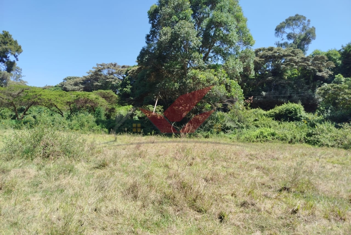 ### PRIME 5-ACRE COMMERCIAL & RESIDENTIAL LAND FOR SALE -- KAREN Unlock limitless investment potential with this strategically located 5-acre parcel of prime commercial land touching Dagoretti Road, just minutes from Karen Shopping Centre. This rare opportunity sits opposite Africa International University, making it ideal for commercial and residential development. ### Perfect for Various Ventures: Commercial hub -- Office blocks, shopping mall, retail center Residential housing -- Luxury apartments, gated community Educational institutions -- School, training center, or community space Religious center -- Church, mosque, or faith-based institution Petrol station & service center -- High-visibility location for maximum traffic Other business opportunities -- Hotels, healthcare facilities, recreational centers ### Key Location Advantages: Touching Dagoretti Road -- Prime visibility & easy accessibility Opposite Africa International University -- Steady demand for housing & commercial spaces 5 Minutes to Karen Shopping Centre -- Access to key amenities Highly developed area with growing infrastructure & high property value ### Investment Details: Asking Price: Ksh 60M per acre, negotiable Ready documentation for a smooth transaction Call/WhatsApp 0732675057 to schedule a private viewing today! [Click Here to Inquire](https://wa.me/254732675057) #KarenLandForSale #InvestmentOpportunity #CommercialLand #PrimeRealEstate #NairobiLand #PropertyForSale #KarenProperties #LandInvestment #SecureYourFuture