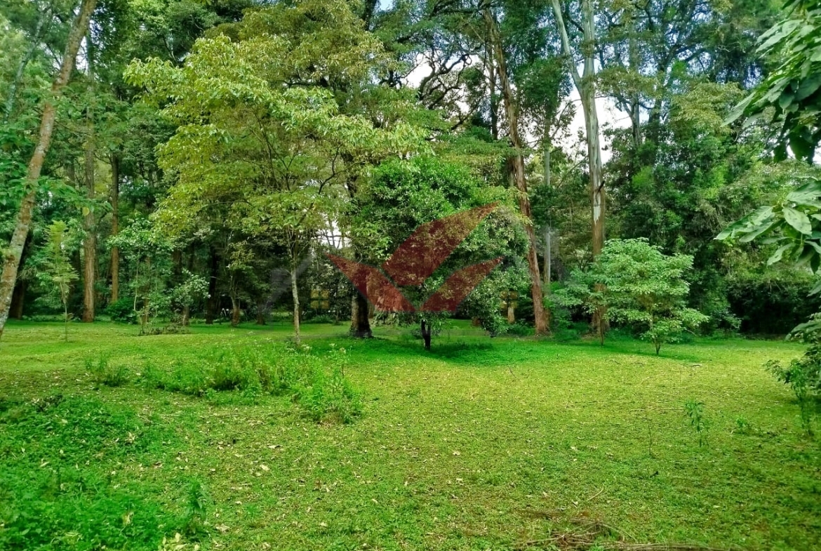 Prime 1-Acre Plot for Sale in Karen -- Touching Mwitu Road Tarmac Kshs 70M (Fixed) Karen Freehold Title Red Soil Mature Trees Water & Power On-Site Dreaming of building your forever home in one of Nairobi's most serene, secure, and sought-after neighborhoods? Here's your opportunity to own freehold land in the heart of Karen, along the prestigious Mwitu Road. This 1-acre parcel is a rare gem: Directly touching the tarmac Set amidst lush indigenous trees and red soil -- perfect for development City Council water + Borehole water access Electricity on-site Surrounded by luxury homes in a well-established, gated community Perfect rectangular shape -- ideal for your dream mansion, villas, or boutique development Whether you're looking to build a private family residence, a luxury holiday home, or a high-end speculative development for the diaspora market, this land ticks all the boxes. Located just minutes from: -- The Hub Karen -- Karen Country Club -- Banda School & Hillcrest -- Karen Hospital -- Galleria Mall ? Easily accessible and nestled within a peaceful, leafy neighborhood with a strong sense of community, Mwitu Road is home to Nairobi's elite -- offering lifestyle, privacy, and value. Asking Price: KES 70 Million (Fixed) Call or WhatsApp: 0732 675 057 Click to Chat: [https://wa.me/254732675057](https://wa.me/254732675057) to schedule a viewing #LandForSaleKaren #KarenProperty #KarenMwituRoad #NairobiRealEstate #FreeholdLandKenya #KarenPlots #LuxuryLandKenya #InvestInKaren #RedSoilLand #MwituKaren #LandInvestmentKenya #KenyaProperty #LandBuyers #DiasporaInvestors #LandWithTitle #KarenHomes #KarenLandDeals #PropertyKenya #LandForDevelopment #NairobiLandForSale