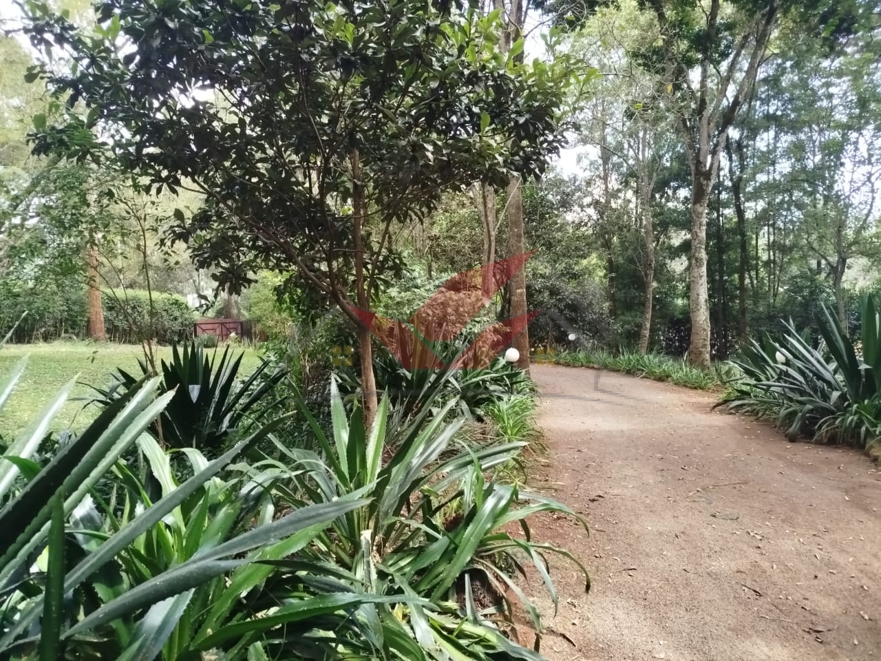 Prime 1-Acre Plot for Sale in Karen -- Touching Mwitu Road Tarmac Kshs 70M (Fixed) Karen Freehold Title Red Soil Mature Trees Water & Power On-Site Dreaming of building your forever home in one of Nairobi's most serene, secure, and sought-after neighborhoods? Here's your opportunity to own freehold land in the heart of Karen, along the prestigious Mwitu Road. This 1-acre parcel is a rare gem: Directly touching the tarmac Set amidst lush indigenous trees and red soil -- perfect for development City Council water + Borehole water access Electricity on-site Surrounded by luxury homes in a well-established, gated community Perfect rectangular shape -- ideal for your dream mansion, villas, or boutique development Whether you're looking to build a private family residence, a luxury holiday home, or a high-end speculative development for the diaspora market, this land ticks all the boxes. Located just minutes from: -- The Hub Karen -- Karen Country Club -- Banda School & Hillcrest -- Karen Hospital -- Galleria Mall ? Easily accessible and nestled within a peaceful, leafy neighborhood with a strong sense of community, Mwitu Road is home to Nairobi's elite -- offering lifestyle, privacy, and value. Asking Price: KES 70 Million (Fixed) Call or WhatsApp: 0732 675 057 Click to Chat: [https://wa.me/254732675057](https://wa.me/254732675057) to schedule a viewing #LandForSaleKaren #KarenProperty #KarenMwituRoad #NairobiRealEstate #FreeholdLandKenya #KarenPlots #LuxuryLandKenya #InvestInKaren #RedSoilLand #MwituKaren #LandInvestmentKenya #KenyaProperty #LandBuyers #DiasporaInvestors #LandWithTitle #KarenHomes #KarenLandDeals #PropertyKenya #LandForDevelopment #NairobiLandForSale