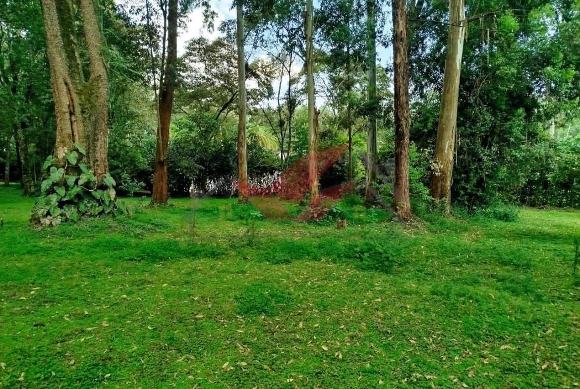 Prime 1-Acre Plot for Sale in Karen -- Touching Mwitu Road Tarmac Kshs 70M (Fixed) Karen Freehold Title Red Soil Mature Trees Water & Power On-Site Dreaming of building your forever home in one of Nairobi's most serene, secure, and sought-after neighborhoods? Here's your opportunity to own freehold land in the heart of Karen, along the prestigious Mwitu Road. This 1-acre parcel is a rare gem: Directly touching the tarmac Set amidst lush indigenous trees and red soil -- perfect for development City Council water + Borehole water access Electricity on-site Surrounded by luxury homes in a well-established, gated community Perfect rectangular shape -- ideal for your dream mansion, villas, or boutique development Whether you're looking to build a private family residence, a luxury holiday home, or a high-end speculative development for the diaspora market, this land ticks all the boxes. Located just minutes from: -- The Hub Karen -- Karen Country Club -- Banda School & Hillcrest -- Karen Hospital -- Galleria Mall ? Easily accessible and nestled within a peaceful, leafy neighborhood with a strong sense of community, Mwitu Road is home to Nairobi's elite -- offering lifestyle, privacy, and value. Asking Price: KES 70 Million (Fixed) Call or WhatsApp: 0732 675 057 Click to Chat: [https://wa.me/254732675057](https://wa.me/254732675057) to schedule a viewing #LandForSaleKaren #KarenProperty #KarenMwituRoad #NairobiRealEstate #FreeholdLandKenya #KarenPlots #LuxuryLandKenya #InvestInKaren #RedSoilLand #MwituKaren #LandInvestmentKenya #KenyaProperty #LandBuyers #DiasporaInvestors #LandWithTitle #KarenHomes #KarenLandDeals #PropertyKenya #LandForDevelopment #NairobiLandForSale