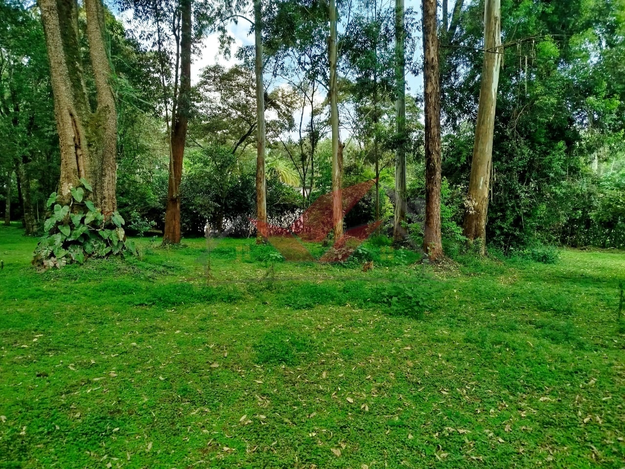 Prime 1-Acre Plot for Sale in Karen -- Touching Mwitu Road Tarmac Kshs 70M (Fixed) Karen Freehold Title Red Soil Mature Trees Water & Power On-Site Dreaming of building your forever home in one of Nairobi's most serene, secure, and sought-after neighborhoods? Here's your opportunity to own freehold land in the heart of Karen, along the prestigious Mwitu Road. This 1-acre parcel is a rare gem: Directly touching the tarmac Set amidst lush indigenous trees and red soil -- perfect for development City Council water + Borehole water access Electricity on-site Surrounded by luxury homes in a well-established, gated community Perfect rectangular shape -- ideal for your dream mansion, villas, or boutique development Whether you're looking to build a private family residence, a luxury holiday home, or a high-end speculative development for the diaspora market, this land ticks all the boxes. Located just minutes from: -- The Hub Karen -- Karen Country Club -- Banda School & Hillcrest -- Karen Hospital -- Galleria Mall ? Easily accessible and nestled within a peaceful, leafy neighborhood with a strong sense of community, Mwitu Road is home to Nairobi's elite -- offering lifestyle, privacy, and value. Asking Price: KES 70 Million (Fixed) Call or WhatsApp: 0732 675 057 Click to Chat: [https://wa.me/254732675057](https://wa.me/254732675057) to schedule a viewing #LandForSaleKaren #KarenProperty #KarenMwituRoad #NairobiRealEstate #FreeholdLandKenya #KarenPlots #LuxuryLandKenya #InvestInKaren #RedSoilLand #MwituKaren #LandInvestmentKenya #KenyaProperty #LandBuyers #DiasporaInvestors #LandWithTitle #KarenHomes #KarenLandDeals #PropertyKenya #LandForDevelopment #NairobiLandForSale
