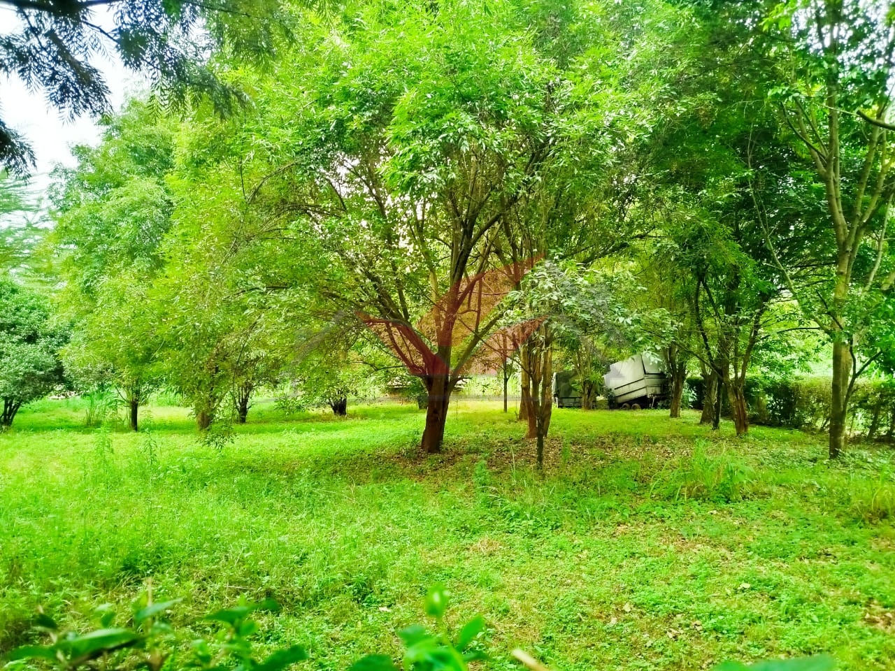 Prime 2 Acres for Sale -- Karen, Nairobi Touching Tarmac Red Soil Ksh 120M Location: Karen End -- Nairobi's Premier Residential Address Discover a rare investment opportunity in the lush green heart of Karen, Nairobi. We present to you a 2-acre prime parcel of land, perfectly situated in a prestigious, serene, and secure neighborhood, ideal for luxury living or high-end development. Asking Price: Ksh 120 Million Ready Title Deed Available Call/WhatsApp: 0732 675057 [Click to Chat Instantly on WhatsApp](https://wa.me/254732675057) ### Key Features: 2 Acres of Prime Flat Land Touching Tarmac on Two Sides -- Ideal for easy access and visibility Rich Red Soil -- Perfect for construction or gardening Mature Indigenous Trees -- Natural beauty & privacy Water & Electricity on Site -- Ready for immediate development Located in an area surrounded by high-end homes, luxury villas, and diplomatic residences Whether you're a private homeowner, real estate investor, or developer, this property ticks all the boxes. The land is ideal for: Luxury Residential Development Boutique Gated Community Private Retreat or Guest House Organic Farming or Landscaping Projects Positioned in one of Nairobi's most sought-after addresses, this land offers unmatched tranquility, prestige, and convenience. Just minutes from The Hub Karen, top international schools, hospitals, restaurants, and malls, you'll enjoy the perfect blend of privacy and connectivity. Don't Miss Out on This Golden Opportunity! Schedule your private tour or virtual viewing today. Call/WhatsApp 0732 675057 Click to Chat Instantly: [https://wa.me/254732675057](https://wa.me/254732675057) \#KarenProperty #LandForSaleKaren #NairobiRealEstate #LuxuryPlotsNairobi #PrimeLandKaren #RedSoilLand #KarenLiving #InvestInKaren #NairobiLandDeals #PropertyInvestmentKenya #TarmacFrontage #KarenLandBuy #RealEstateKenya