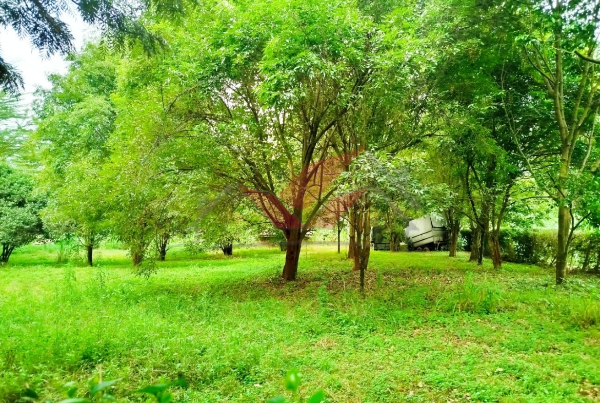 Prime 2 Acres for Sale -- Karen, Nairobi Touching Tarmac Red Soil Ksh 120M Location: Karen End -- Nairobi's Premier Residential Address Discover a rare investment opportunity in the lush green heart of Karen, Nairobi. We present to you a 2-acre prime parcel of land, perfectly situated in a prestigious, serene, and secure neighborhood, ideal for luxury living or high-end development. Asking Price: Ksh 120 Million Ready Title Deed Available Call/WhatsApp: 0732 675057 [Click to Chat Instantly on WhatsApp](https://wa.me/254732675057) ### Key Features: 2 Acres of Prime Flat Land Touching Tarmac on Two Sides -- Ideal for easy access and visibility Rich Red Soil -- Perfect for construction or gardening Mature Indigenous Trees -- Natural beauty & privacy Water & Electricity on Site -- Ready for immediate development Located in an area surrounded by high-end homes, luxury villas, and diplomatic residences Whether you're a private homeowner, real estate investor, or developer, this property ticks all the boxes. The land is ideal for: Luxury Residential Development Boutique Gated Community Private Retreat or Guest House Organic Farming or Landscaping Projects Positioned in one of Nairobi's most sought-after addresses, this land offers unmatched tranquility, prestige, and convenience. Just minutes from The Hub Karen, top international schools, hospitals, restaurants, and malls, you'll enjoy the perfect blend of privacy and connectivity. Don't Miss Out on This Golden Opportunity! Schedule your private tour or virtual viewing today. Call/WhatsApp 0732 675057 Click to Chat Instantly: [https://wa.me/254732675057](https://wa.me/254732675057) \#KarenProperty #LandForSaleKaren #NairobiRealEstate #LuxuryPlotsNairobi #PrimeLandKaren #RedSoilLand #KarenLiving #InvestInKaren #NairobiLandDeals #PropertyInvestmentKenya #TarmacFrontage #KarenLandBuy #RealEstateKenya