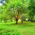 Prime 2 Acres for Sale -- Karen, Nairobi Touching Tarmac Red Soil Ksh 120M Location: Karen End -- Nairobi's Premier Residential Address Discover a rare investment opportunity in the lush green heart of Karen, Nairobi. We present to you a 2-acre prime parcel of land, perfectly situated in a prestigious, serene, and secure neighborhood, ideal for luxury living or high-end development. Asking Price: Ksh 120 Million Ready Title Deed Available Call/WhatsApp: 0732 675057 [Click to Chat Instantly on WhatsApp](https://wa.me/254732675057) ### Key Features: 2 Acres of Prime Flat Land Touching Tarmac on Two Sides -- Ideal for easy access and visibility Rich Red Soil -- Perfect for construction or gardening Mature Indigenous Trees -- Natural beauty & privacy Water & Electricity on Site -- Ready for immediate development Located in an area surrounded by high-end homes, luxury villas, and diplomatic residences Whether you're a private homeowner, real estate investor, or developer, this property ticks all the boxes. The land is ideal for: Luxury Residential Development Boutique Gated Community Private Retreat or Guest House Organic Farming or Landscaping Projects Positioned in one of Nairobi's most sought-after addresses, this land offers unmatched tranquility, prestige, and convenience. Just minutes from The Hub Karen, top international schools, hospitals, restaurants, and malls, you'll enjoy the perfect blend of privacy and connectivity. Don't Miss Out on This Golden Opportunity! Schedule your private tour or virtual viewing today. Call/WhatsApp 0732 675057 Click to Chat Instantly: [https://wa.me/254732675057](https://wa.me/254732675057) \#KarenProperty #LandForSaleKaren #NairobiRealEstate #LuxuryPlotsNairobi #PrimeLandKaren #RedSoilLand #KarenLiving #InvestInKaren #NairobiLandDeals #PropertyInvestmentKenya #TarmacFrontage #KarenLandBuy #RealEstateKenya