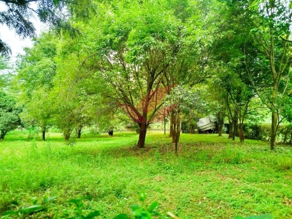 Prime 2 Acres for Sale -- Karen, Nairobi Touching Tarmac Red Soil Ksh 120M Location: Karen End -- Nairobi's Premier Residential Address Discover a rare investment opportunity in the lush green heart of Karen, Nairobi. We present to you a 2-acre prime parcel of land, perfectly situated in a prestigious, serene, and secure neighborhood, ideal for luxury living or high-end development. Asking Price: Ksh 120 Million Ready Title Deed Available Call/WhatsApp: 0732 675057 [Click to Chat Instantly on WhatsApp](https://wa.me/254732675057) ### Key Features: 2 Acres of Prime Flat Land Touching Tarmac on Two Sides -- Ideal for easy access and visibility Rich Red Soil -- Perfect for construction or gardening Mature Indigenous Trees -- Natural beauty & privacy Water & Electricity on Site -- Ready for immediate development Located in an area surrounded by high-end homes, luxury villas, and diplomatic residences Whether you're a private homeowner, real estate investor, or developer, this property ticks all the boxes. The land is ideal for: Luxury Residential Development Boutique Gated Community Private Retreat or Guest House Organic Farming or Landscaping Projects Positioned in one of Nairobi's most sought-after addresses, this land offers unmatched tranquility, prestige, and convenience. Just minutes from The Hub Karen, top international schools, hospitals, restaurants, and malls, you'll enjoy the perfect blend of privacy and connectivity. Don't Miss Out on This Golden Opportunity! Schedule your private tour or virtual viewing today. Call/WhatsApp 0732 675057 Click to Chat Instantly: [https://wa.me/254732675057](https://wa.me/254732675057) \#KarenProperty #LandForSaleKaren #NairobiRealEstate #LuxuryPlotsNairobi #PrimeLandKaren #RedSoilLand #KarenLiving #InvestInKaren #NairobiLandDeals #PropertyInvestmentKenya #TarmacFrontage #KarenLandBuy #RealEstateKenya