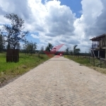 ## PRIME HALF-ACRE PLOTS FOR SALE -- KAREN PLAINS GATED COMMUNITY KSH 42M Location: Karen Plains, Nairobi Guide Price: Ksh 42,000,000 (Slightly Negotiable) Title: Ready & Clean Freehold Title Deeds Call/WhatsApp: [0732675057](https://wa.me/254732675057) Unlock the opportunity to own prime residential land in the heart of Karen, Nairobi's most sought-after leafy suburb. These three half-acre parcels, nestled within a secure gated community along Karen Plains, offer the ideal location to build your luxury dream home or invest in high-end development. Each ½ acre is flat, well-drained, and set in a tranquil neighborhood surrounded by prestigious schools, top-tier hospitals, upscale malls, and world-class amenities. Whether you're a Nairobi resident or a diaspora investor seeking a serene, upmarket area with guaranteed land value appreciation, this is the opportunity you've been waiting for. ### Key Highlights: 3 parcels, each measuring 0.5 acres Located in a secure, controlled, gated community Surrounded by mature trees and a peaceful environment Suitable for family homes or boutique developments Close proximity to Karen Shopping Centre, The Hub Mall, Hillcrest, Brookhouse, and Nairobi Academy Water and electricity available on site Red soil -- ideal for construction and landscaping Karen continues to be a prime investment zone, with controlled developments that preserve its charm and exclusivity. Buying land here ensures strong long-term capital gains and a serene lifestyle just 25 minutes from Nairobi CBD. ### Book Your Site Visit Today Don't miss out on these rare half-acre gems in Karen Plains. Secure your slice of Nairobi's most prestigious address. Call or WhatsApp: [0732675057](https://wa.me/254732675057) Location pin available on request. #KarenLandForSale #PrimeLandKaren #NairobiRealEstate #KarenPlots #LuxuryLivingKenya #DiasporaInvestment #KarenProperty #GatedCommunityKaren #LandForSaleNairobi #InvestInKenya #RealEstateKenya #HalfAcreForSale #RedSoilLand #KarenLifestyle #PlotsForSale
