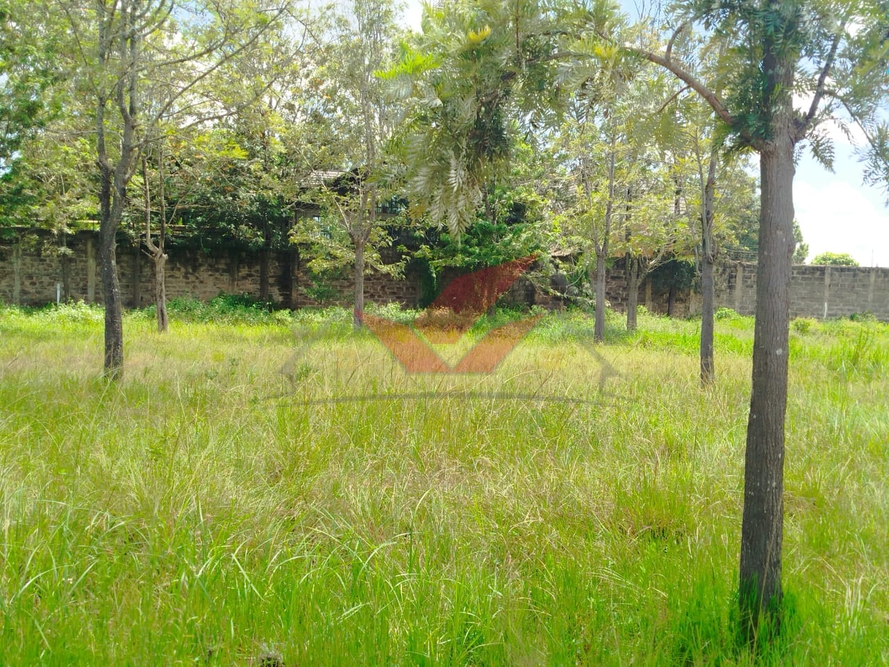 ## PRIME HALF-ACRE PLOTS FOR SALE -- KAREN PLAINS GATED COMMUNITY KSH 42M Location: Karen Plains, Nairobi Guide Price: Ksh 42,000,000 (Slightly Negotiable) Title: Ready & Clean Freehold Title Deeds Call/WhatsApp: [0732675057](https://wa.me/254732675057) Unlock the opportunity to own prime residential land in the heart of Karen, Nairobi's most sought-after leafy suburb. These three half-acre parcels, nestled within a secure gated community along Karen Plains, offer the ideal location to build your luxury dream home or invest in high-end development. Each ½ acre is flat, well-drained, and set in a tranquil neighborhood surrounded by prestigious schools, top-tier hospitals, upscale malls, and world-class amenities. Whether you're a Nairobi resident or a diaspora investor seeking a serene, upmarket area with guaranteed land value appreciation, this is the opportunity you've been waiting for. ### Key Highlights: 3 parcels, each measuring 0.5 acres Located in a secure, controlled, gated community Surrounded by mature trees and a peaceful environment Suitable for family homes or boutique developments Close proximity to Karen Shopping Centre, The Hub Mall, Hillcrest, Brookhouse, and Nairobi Academy Water and electricity available on site Red soil -- ideal for construction and landscaping Karen continues to be a prime investment zone, with controlled developments that preserve its charm and exclusivity. Buying land here ensures strong long-term capital gains and a serene lifestyle just 25 minutes from Nairobi CBD. ### Book Your Site Visit Today Don't miss out on these rare half-acre gems in Karen Plains. Secure your slice of Nairobi's most prestigious address. Call or WhatsApp: [0732675057](https://wa.me/254732675057) Location pin available on request. #KarenLandForSale #PrimeLandKaren #NairobiRealEstate #KarenPlots #LuxuryLivingKenya #DiasporaInvestment #KarenProperty #GatedCommunityKaren #LandForSaleNairobi #InvestInKenya #RealEstateKenya #HalfAcreForSale #RedSoilLand #KarenLifestyle #PlotsForSale