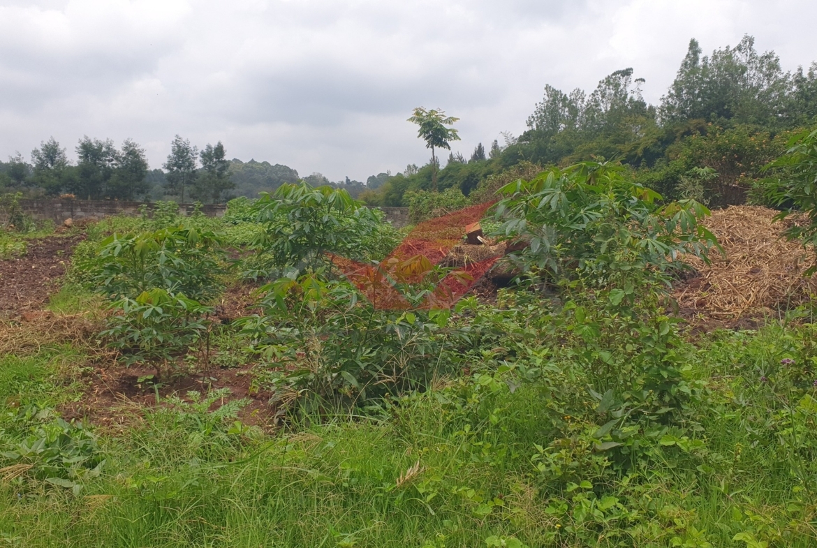 ## Prime ½-Acre Plot for Sale in Loresho Ridge, Nairobi KES 39M Secure your piece of Nairobi's luxury living with this prime ½-acre plot for sale in Loresho Ridge --- one of the city's most serene and exclusive residential neighborhoods. Whether you're planning to build your dream home or invest in high-value property, this parcel offers location, tranquility, and long-term appreciation. ### Plot Highlights * ½-Acre Flat Red Soil Land -- well-drained, fertile, and construction-ready * Perfect for Residential Development -- ideal for a family mansion or high-end villa * Located in a Serene, Secure, and Developed Neighborhood * Excellent Access to Major Roads and Essential Amenities * Ready Title Deed -- guaranteeing smooth and transparent transfer ### Prime Location -- Loresho Ridge Situated in the leafy and prestigious Loresho suburb, this plot is surrounded by upscale homes, modern developments, and peaceful green landscapes. It enjoys convenient proximity to Westlands, Gigiri, and Spring Valley, ensuring easy access to shopping malls, international schools, hospitals, and business hubs. Loresho remains a top choice for discerning homeowners and investors, thanks to its spacious zoning, excellent infrastructure, and secure environment. The area combines suburban tranquility with city convenience --- a rare find in Nairobi's property market. ### Investment Advantage With the growing demand for high-end residential properties in Nairobi, Loresho continues to experience steady appreciation in land value. Owning land here offers not only a peaceful lifestyle but also a solid long-term investment opportunity. This flat, well-drained ½-acre parcel provides the perfect foundation to create a custom-designed home or a luxury development in one of Nairobi's most sought-after addresses. Call or WhatsApp: [0732 675057](https://wa.me/254732675057) Price: KES 39M (Freehold Title Available) Loresho land for sale, half acre plot Nairobi, residential plots Nairobi, Loresho Ridge property, prime land Kenya, land for sale in Westlands area, Nairobi real estate investment, buy land in Loresho, freehold property Kenya, Nairobi premium suburbs#LoreshoLandForSale #LoreshoRidge #NairobiProperty #LandForSaleKenya #PrimeLandNairobi #LuxuryLivingKenya #InvestInKenya #RealEstateKenya #NairobiRealEstate #LoreshoEstate #KenyaPropertyMarket #HalfAcrePlot #BuyLandInNairobi #PropertyInvestmentKenya #DreamHomePlot #NairobiLuxuryHomes #KenyanDiasporaInvestments #LandInvestmentKenya #SecureYourFuture #BuildInLoresho