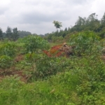 ## Prime ½-Acre Plot for Sale in Loresho Ridge, Nairobi KES 39M Secure your piece of Nairobi's luxury living with this prime ½-acre plot for sale in Loresho Ridge --- one of the city's most serene and exclusive residential neighborhoods. Whether you're planning to build your dream home or invest in high-value property, this parcel offers location, tranquility, and long-term appreciation. ### Plot Highlights * ½-Acre Flat Red Soil Land -- well-drained, fertile, and construction-ready * Perfect for Residential Development -- ideal for a family mansion or high-end villa * Located in a Serene, Secure, and Developed Neighborhood * Excellent Access to Major Roads and Essential Amenities * Ready Title Deed -- guaranteeing smooth and transparent transfer ### Prime Location -- Loresho Ridge Situated in the leafy and prestigious Loresho suburb, this plot is surrounded by upscale homes, modern developments, and peaceful green landscapes. It enjoys convenient proximity to Westlands, Gigiri, and Spring Valley, ensuring easy access to shopping malls, international schools, hospitals, and business hubs. Loresho remains a top choice for discerning homeowners and investors, thanks to its spacious zoning, excellent infrastructure, and secure environment. The area combines suburban tranquility with city convenience --- a rare find in Nairobi's property market. ### Investment Advantage With the growing demand for high-end residential properties in Nairobi, Loresho continues to experience steady appreciation in land value. Owning land here offers not only a peaceful lifestyle but also a solid long-term investment opportunity. This flat, well-drained ½-acre parcel provides the perfect foundation to create a custom-designed home or a luxury development in one of Nairobi's most sought-after addresses. Call or WhatsApp: [0732 675057](https://wa.me/254732675057) Price: KES 39M (Freehold Title Available) Loresho land for sale, half acre plot Nairobi, residential plots Nairobi, Loresho Ridge property, prime land Kenya, land for sale in Westlands area, Nairobi real estate investment, buy land in Loresho, freehold property Kenya, Nairobi premium suburbs#LoreshoLandForSale #LoreshoRidge #NairobiProperty #LandForSaleKenya #PrimeLandNairobi #LuxuryLivingKenya #InvestInKenya #RealEstateKenya #NairobiRealEstate #LoreshoEstate #KenyaPropertyMarket #HalfAcrePlot #BuyLandInNairobi #PropertyInvestmentKenya #DreamHomePlot #NairobiLuxuryHomes #KenyanDiasporaInvestments #LandInvestmentKenya #SecureYourFuture #BuildInLoresho