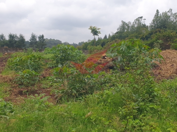 ## Prime ½-Acre Plot for Sale in Loresho Ridge, Nairobi KES 39M Secure your piece of Nairobi's luxury living with this prime ½-acre plot for sale in Loresho Ridge --- one of the city's most serene and exclusive residential neighborhoods. Whether you're planning to build your dream home or invest in high-value property, this parcel offers location, tranquility, and long-term appreciation. ### Plot Highlights * ½-Acre Flat Red Soil Land -- well-drained, fertile, and construction-ready * Perfect for Residential Development -- ideal for a family mansion or high-end villa * Located in a Serene, Secure, and Developed Neighborhood * Excellent Access to Major Roads and Essential Amenities * Ready Title Deed -- guaranteeing smooth and transparent transfer ### Prime Location -- Loresho Ridge Situated in the leafy and prestigious Loresho suburb, this plot is surrounded by upscale homes, modern developments, and peaceful green landscapes. It enjoys convenient proximity to Westlands, Gigiri, and Spring Valley, ensuring easy access to shopping malls, international schools, hospitals, and business hubs. Loresho remains a top choice for discerning homeowners and investors, thanks to its spacious zoning, excellent infrastructure, and secure environment. The area combines suburban tranquility with city convenience --- a rare find in Nairobi's property market. ### Investment Advantage With the growing demand for high-end residential properties in Nairobi, Loresho continues to experience steady appreciation in land value. Owning land here offers not only a peaceful lifestyle but also a solid long-term investment opportunity. This flat, well-drained ½-acre parcel provides the perfect foundation to create a custom-designed home or a luxury development in one of Nairobi's most sought-after addresses. Call or WhatsApp: [0732 675057](https://wa.me/254732675057) Price: KES 39M (Freehold Title Available) Loresho land for sale, half acre plot Nairobi, residential plots Nairobi, Loresho Ridge property, prime land Kenya, land for sale in Westlands area, Nairobi real estate investment, buy land in Loresho, freehold property Kenya, Nairobi premium suburbs#LoreshoLandForSale #LoreshoRidge #NairobiProperty #LandForSaleKenya #PrimeLandNairobi #LuxuryLivingKenya #InvestInKenya #RealEstateKenya #NairobiRealEstate #LoreshoEstate #KenyaPropertyMarket #HalfAcrePlot #BuyLandInNairobi #PropertyInvestmentKenya #DreamHomePlot #NairobiLuxuryHomes #KenyanDiasporaInvestments #LandInvestmentKenya #SecureYourFuture #BuildInLoresho