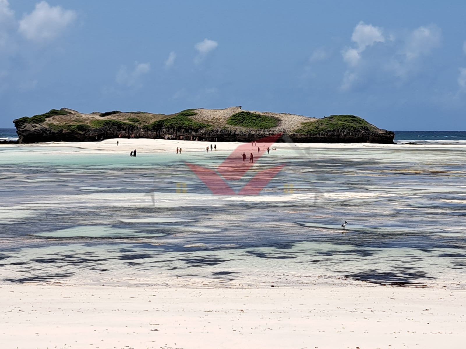 FOR SALE -- 3.5 Acres ULTRA-PRIME BEACHFRONT PROPERTY Fontana Beach, Watamu Located Between Fortamu Village & Darkasi Hotel Asking Price: €430,000 per acre Approx. Ksh 223,387,150 for the entire parcel ? Direct Beach Access Fully Walled Ideal for Luxury Resort or Villa Development Experience rare beachfront exclusivity with this 3.5-acre ultra-prime property at Fontana Beach, Watamu --- one of the most prestigious and picturesque coastal destinations in Kenya. The property is perfectly positioned between Fortamu Village and Darkasi Hotel, a serene stretch renowned for its luxury villas, turquoise waters, and white sandy beaches. This unique parcel is shaped like an inverted letter "L", with the lower bar facing east toward the Indian Ocean, ensuring panoramic sunrise views and direct access to the beach. ? Property Overview: Size: 3.5 Acres (Clean Freehold Title) Frontage: Wide, powder-white sandy beachfront with open sea views Topography: Flat, well-drained, development-ready Orientation: East-facing with spectacular ocean vistas Security: Fully walled & gated perimeter Utilities: Electricity and water already on site Accessibility: Excellent tarmacked road access, just minutes from Watamu Town, Watamu Mall & top beach resorts Prime Investment Highlights: - Located in Watamu's elite Fontana Beach corridor, known for top-tier hospitality and high-value real estate. - Ideal for five-star hotels, luxury villas, or a wellness retreat. - Expansive land allows for phased or multi-purpose coastal development. - Freehold title deed ensures smooth transfer and ownership security. - Surrounded by exclusive resorts, private estates, and investment-grade beachfront projects. Perfect For: 1?? A Luxury Beach Resort or Boutique Hotel with direct ocean frontage. 2?? A Private Villa Estate or gated holiday villa community. 3?? A Beach Club or Wellness Retreat integrating yoga, spa, or eco-living concepts. 4?? A Mixed-Use Development combining high-end residences and leisure amenities. Why Invest in Watamu? Watamu is Kenya's coastal jewel --- celebrated for its marine parks, coral reefs, and pristine beaches. With limited supply of beachfront freehold land, properties like this offer exceptional capital appreciation, strong tourism demand, and elite lifestyle appeal for both local and diaspora investors. Contact for Viewing & Investment Discussion: Call/WhatsApp: 0732675057 [Click to Chat](https://wa.me/254732675057) #WatamuBeachfront #FontanaBeachWatamu #LuxuryRealEstateKenya #WatamuInvestment #BeachfrontPropertyKenya #KenyaCoastalLand #LuxuryResortKenya #InvestInKenya #WatamuLuxuryHomes #KarenHardyNdovu #CoastalDevelopmentKenya #WatamuLifestyle #HighEndInvestments #DiasporaInvestmentsKenya #WatamuParadise #LuxuryLivingKenya #PrimeBeachfrontKenya #WatamuLandForSale #KenyaCoastInvestment #WatamuDreamProperty #WatamuExclusive # FortamuVillage #DarkasiHotel