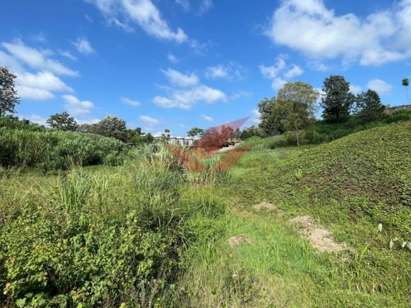 Prime 0.5-Acre Plots for Sale Along Red Hill Road, Nairobi | KES 45M (Fixed Price)