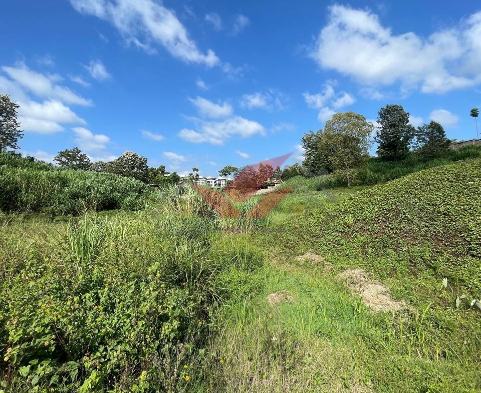 Prime 0.5-Acre Plots for Sale Along Red Hill Road, Nairobi | KES 45M (Fixed Price)