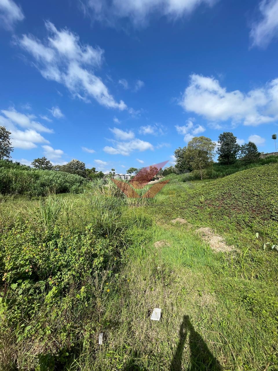 Prime 0.5-Acre Plots for Sale Along Red Hill Road, Nairobi | KES 45M (Fixed Price)