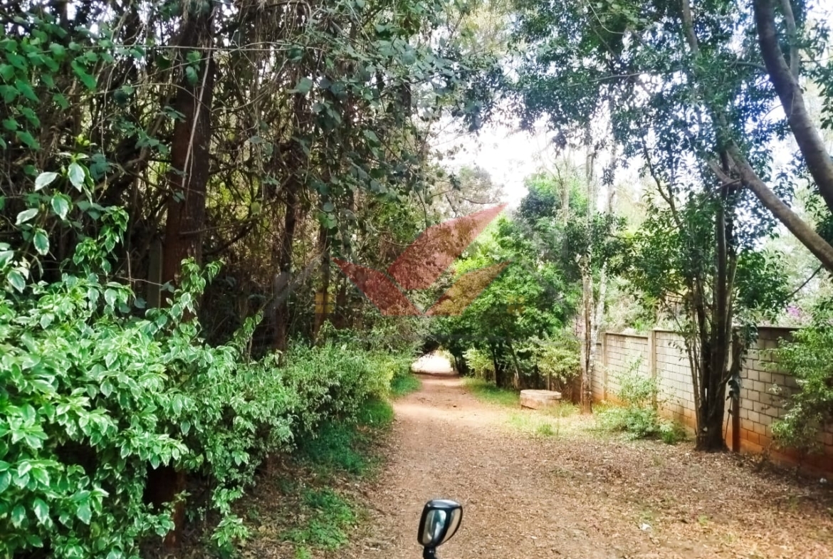 New Property Alert -- Prime Land for Sale in Karen!