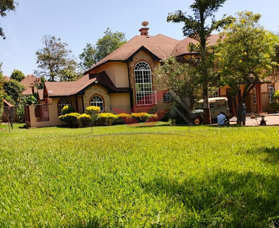 Elegant 4-Bedroom All-En-Suite Villa for Rent in Miotoni, Karen | Gated Community Rent an elegant 4-bedroom all-en-suite villa in Miotoni, Karen. Gated community, lush garden, DSQ, family room. Rent KES 330,000. Book a viewing today.