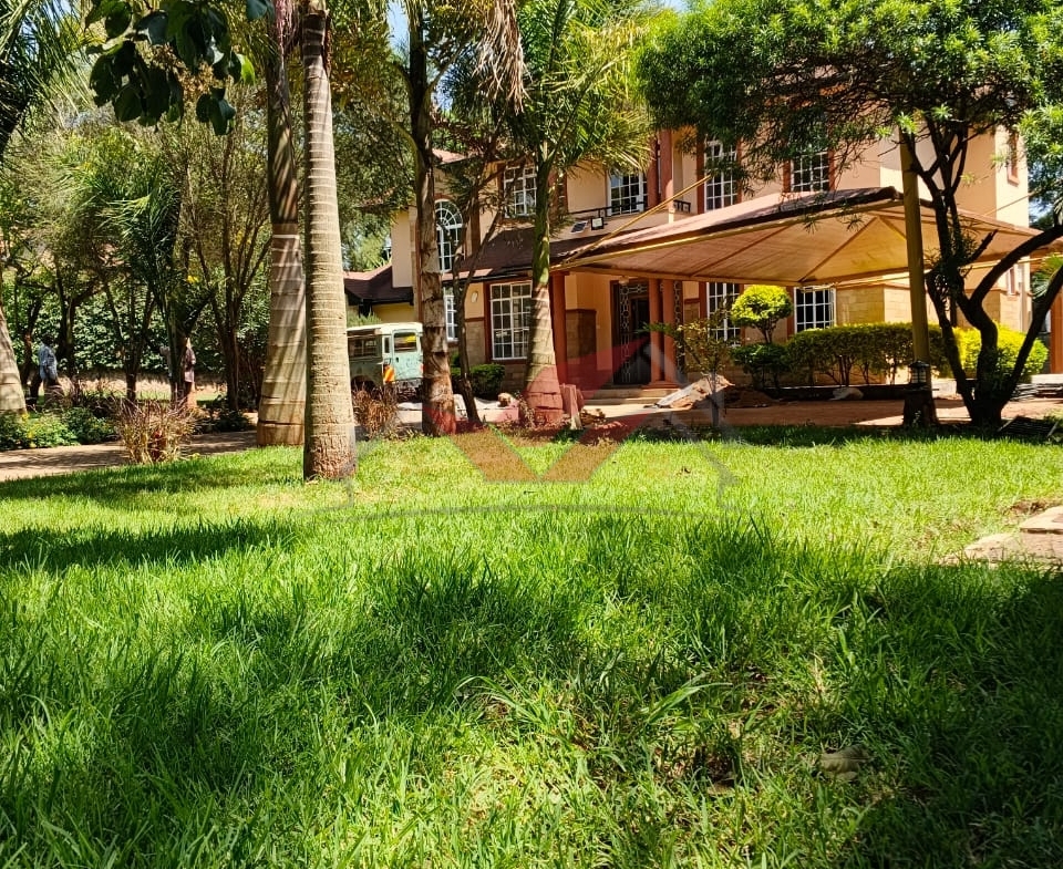 Elegant 4-Bedroom All-En-Suite Villa for Rent in Miotoni, Karen | Gated Community Rent an elegant 4-bedroom all-en-suite villa in Miotoni, Karen. Gated community, lush garden, DSQ, family room. Rent KES 330,000. Book a viewing today.