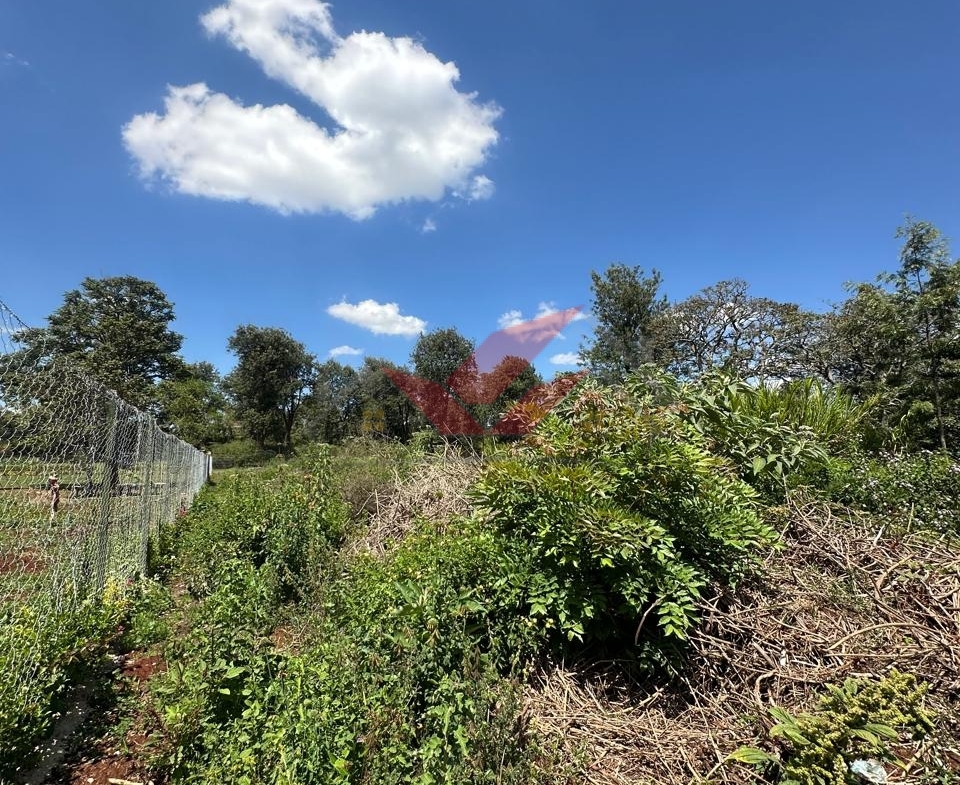 Half-Acre Land for Sale in Karen View Estate, Nairobi | Prime Location KCB Area