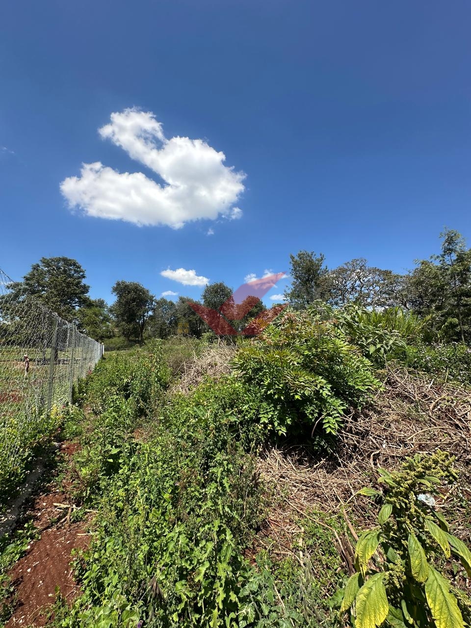 Half-Acre Land for Sale in Karen View Estate, Nairobi | Prime Location KCB Area