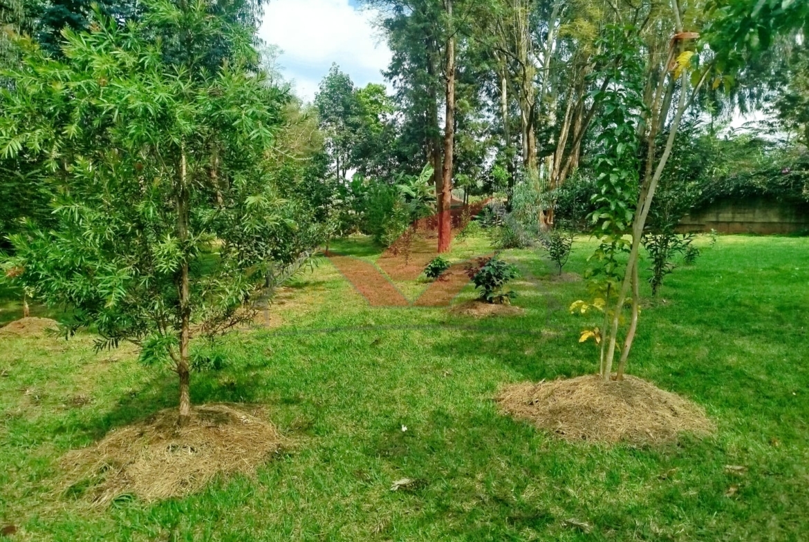 Prime 1-Acre Land for Sale in Windyridge, Karen – Red Soil with Bungalow & Ready Title