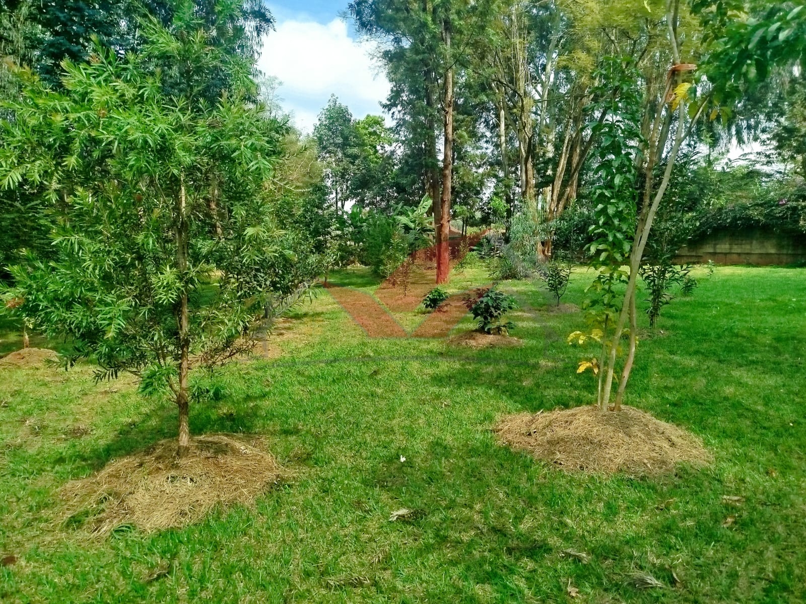 Prime 1-Acre Land for Sale in Windyridge, Karen – Red Soil with Bungalow & Ready Title