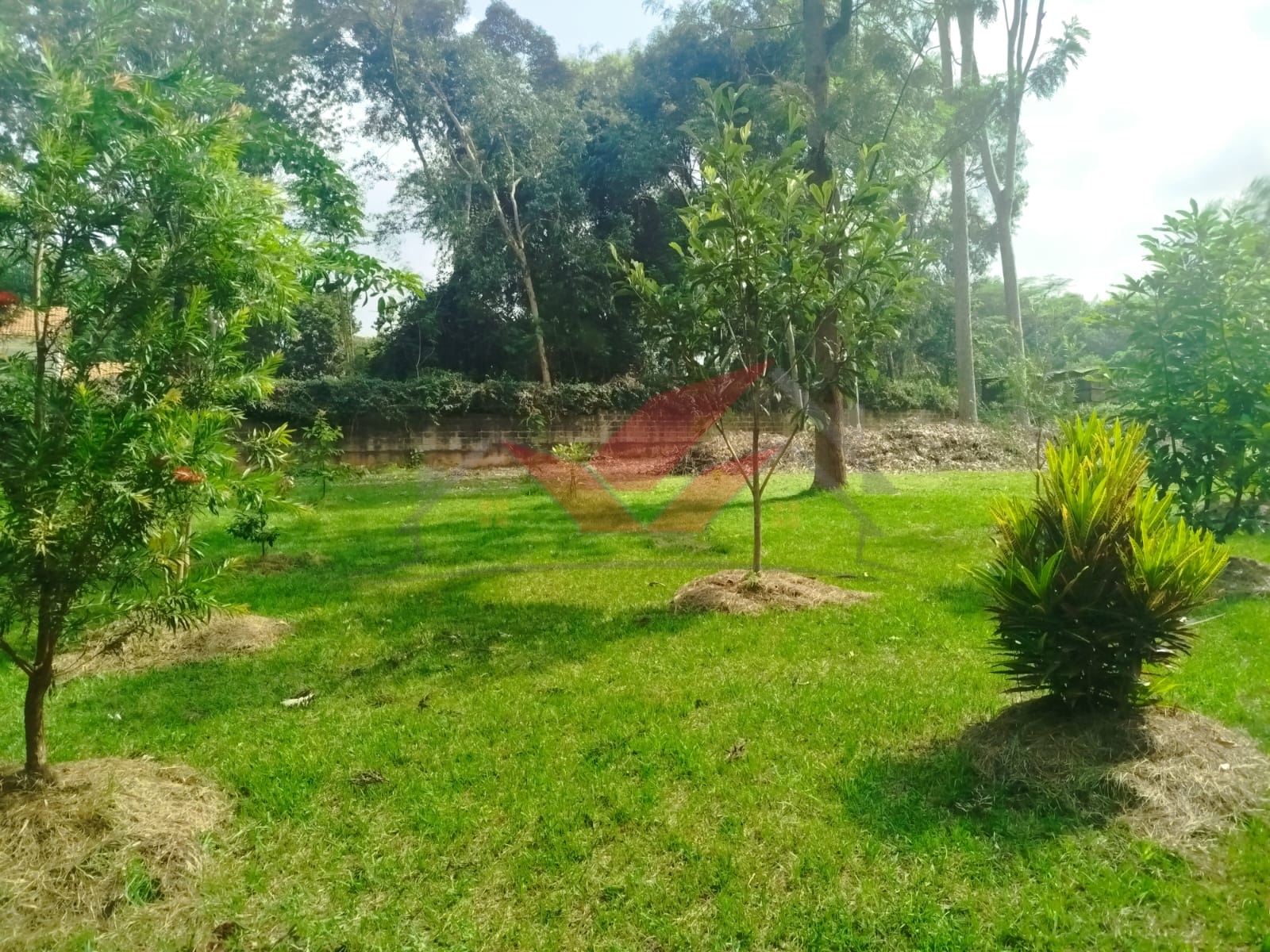 Prime 1-Acre Land for Sale in Windyridge, Karen – Red Soil with Bungalow & Ready Title