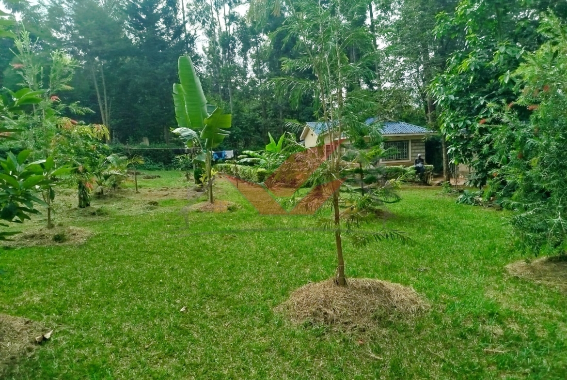 Prime 1-Acre Land for Sale in Windyridge, Karen – Red Soil with Bungalow & Ready Title