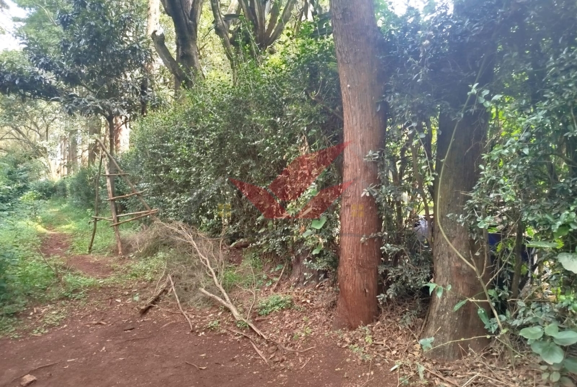 Prime 1-Acre Land for Sale in Windyridge, Karen – Red Soil with Bungalow & Ready Title
