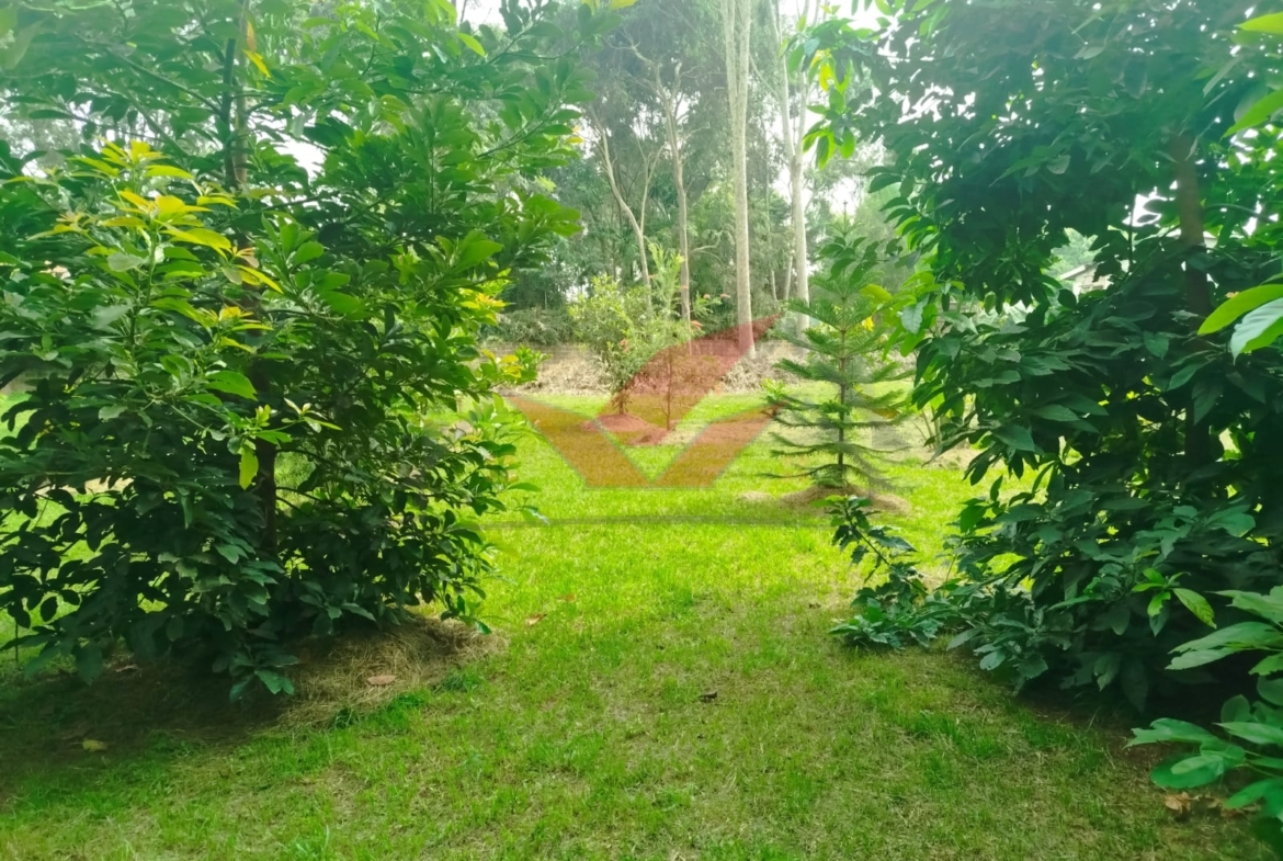 Prime 1-Acre Land for Sale in Windyridge, Karen – Red Soil with Bungalow & Ready Title