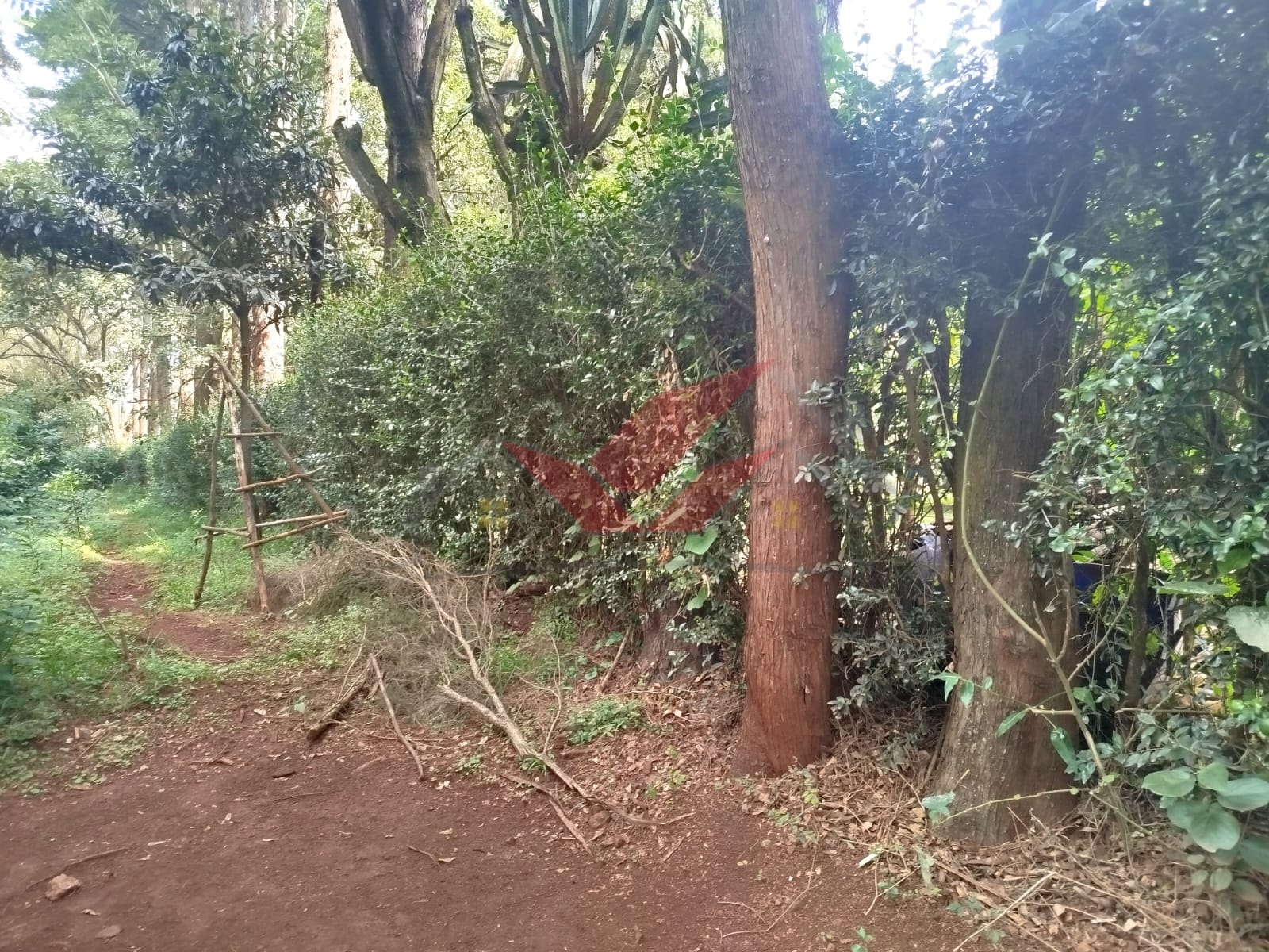 Prime 1-Acre Land for Sale in Windyridge, Karen – Red Soil with Bungalow & Ready Title