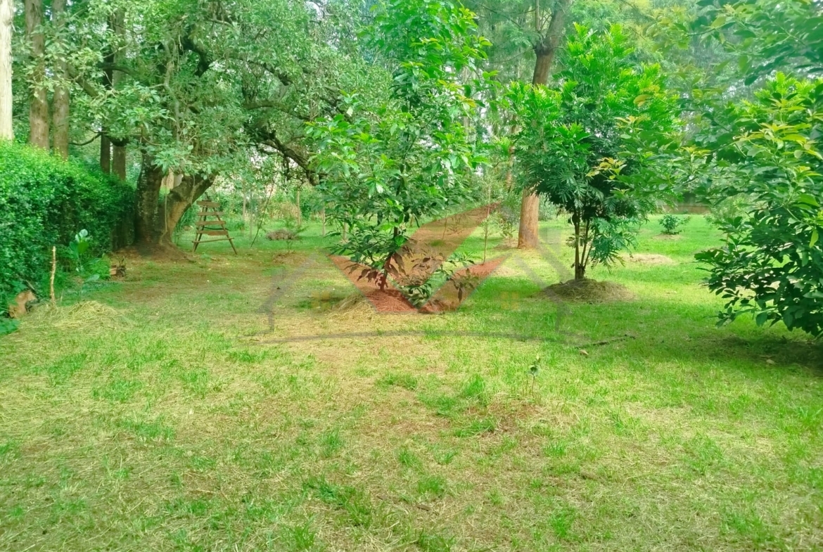 Prime 1-Acre Land for Sale in Windyridge, Karen – Red Soil with Bungalow & Ready Title