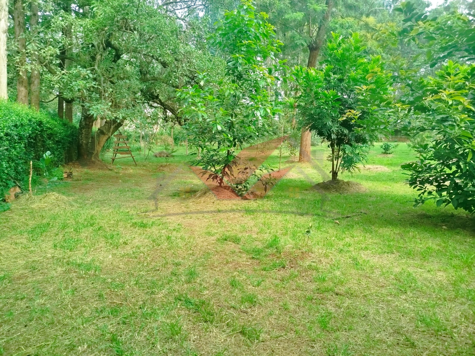 Prime 1-Acre Land for Sale in Windyridge, Karen – Red Soil with Bungalow & Ready Title
