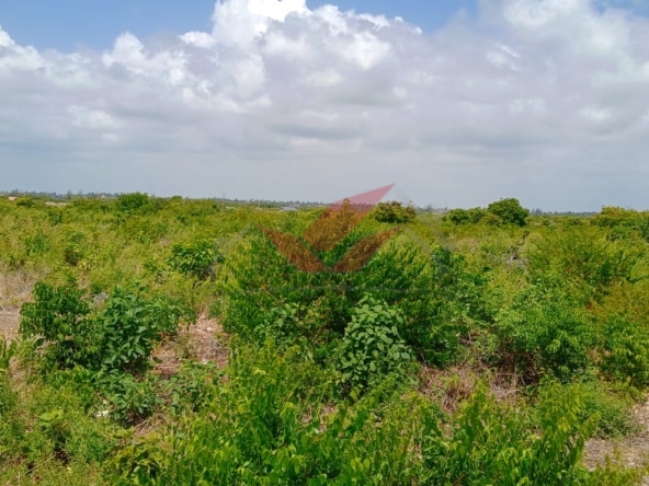 Prime 12-Acre Land for Sale in Watamu – Coastal Investment Opportunity, Kilifi County, Kenya