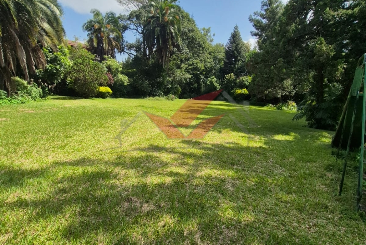 Prime half acre land for sale in Loresho Nairobi flat red soil with mature trees.