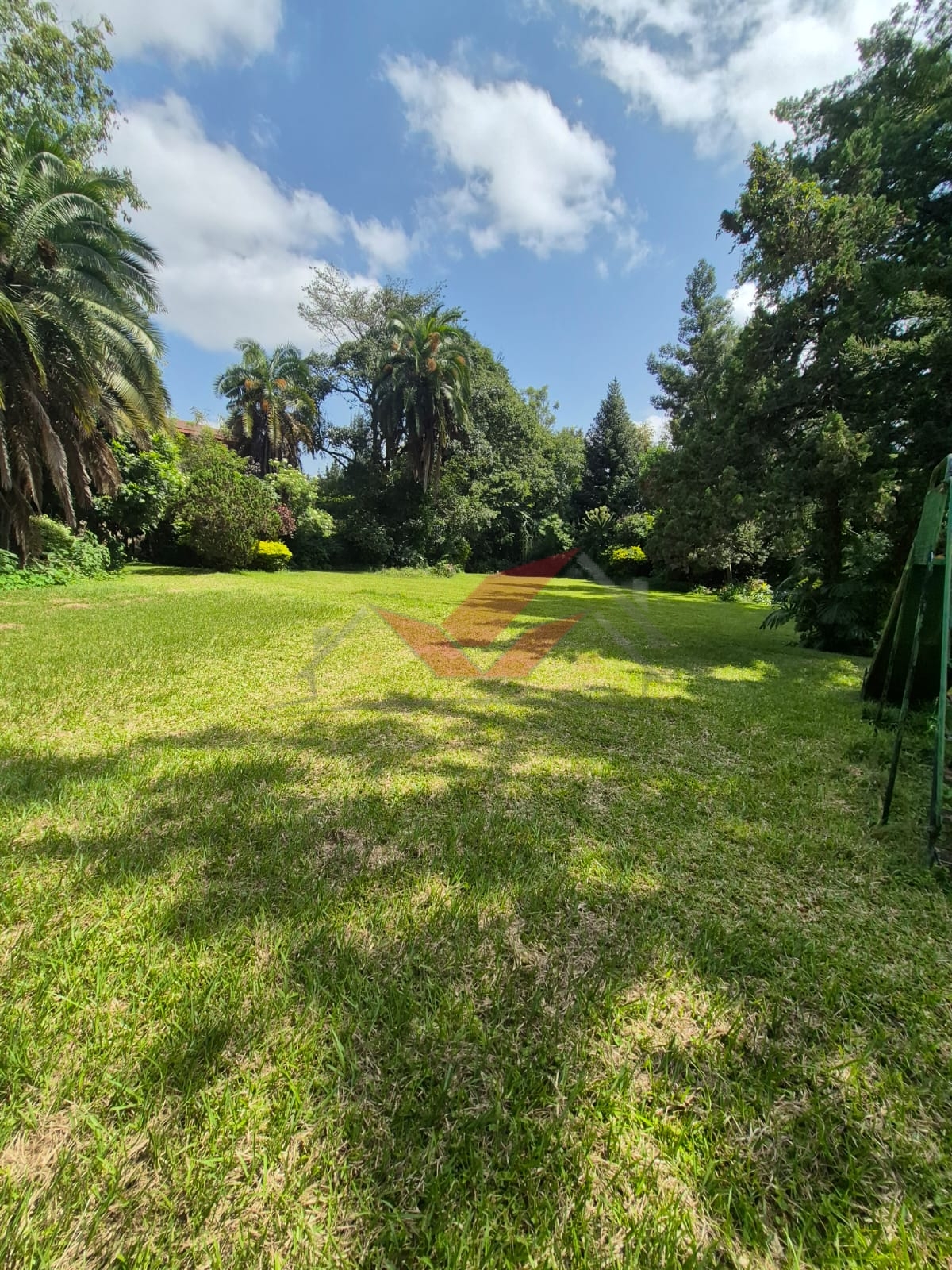 Prime half acre land for sale in Loresho Nairobi flat red soil with mature trees.