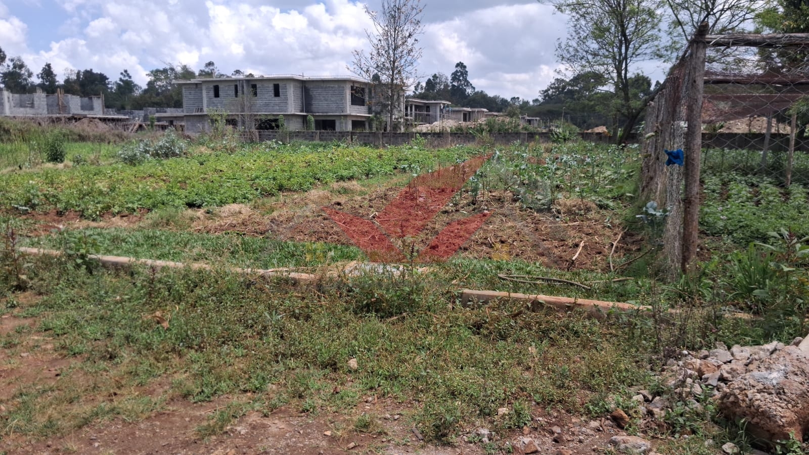 Flat half-acre residential land for sale in Windyridge Karen featuring rich red soil and mature indigenous trees.