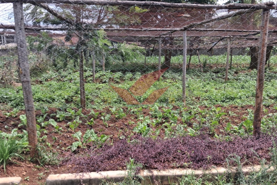 Flat half-acre residential land for sale in Windyridge Karen featuring rich red soil and mature indigenous trees with a ready title deed .