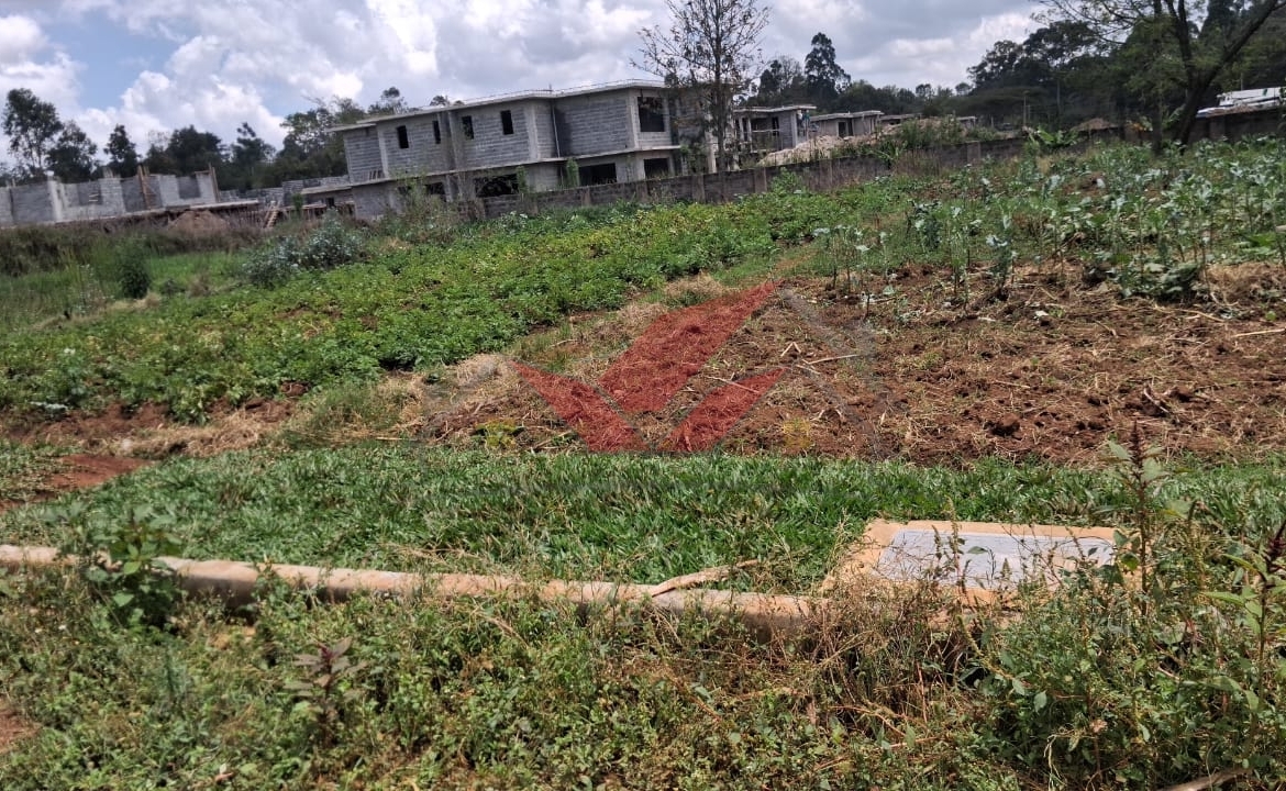Serviced half-acre plot for sale in Karen Nairobi showing available on-site electricity and water connections.