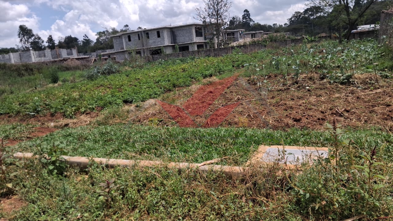 Serviced half-acre plot for sale in Karen Nairobi showing available on-site electricity and water connections.