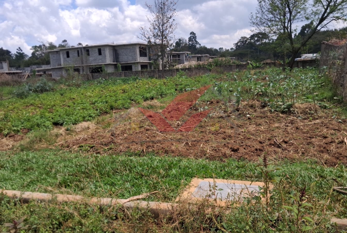 Flat half-acre residential land for sale in Windyridge Karen featuring rich red soil and mature indigenous trees.