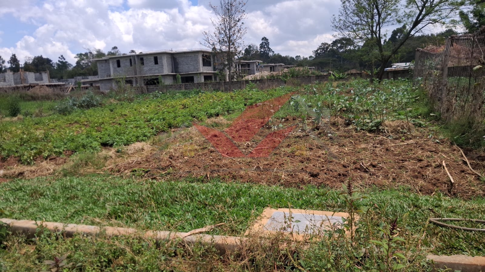 Flat half-acre residential land for sale in Windyridge Karen featuring rich red soil and mature indigenous trees.