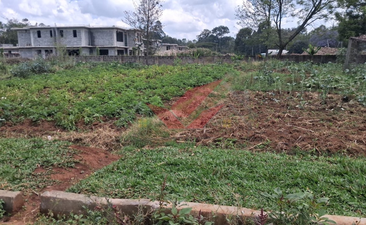 Flat half-acre residential land for sale in Windyridge Karen featuring rich red soil and mature indigenous trees with a ready title deed .