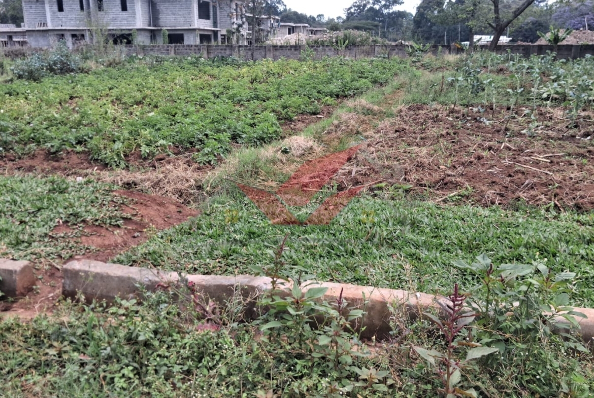 Flat half-acre residential land for sale in Windyridge Karen featuring rich red soil and mature indigenous trees with a ready title deed .